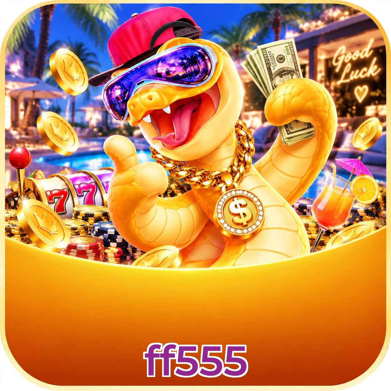 ff555 Installation Guide